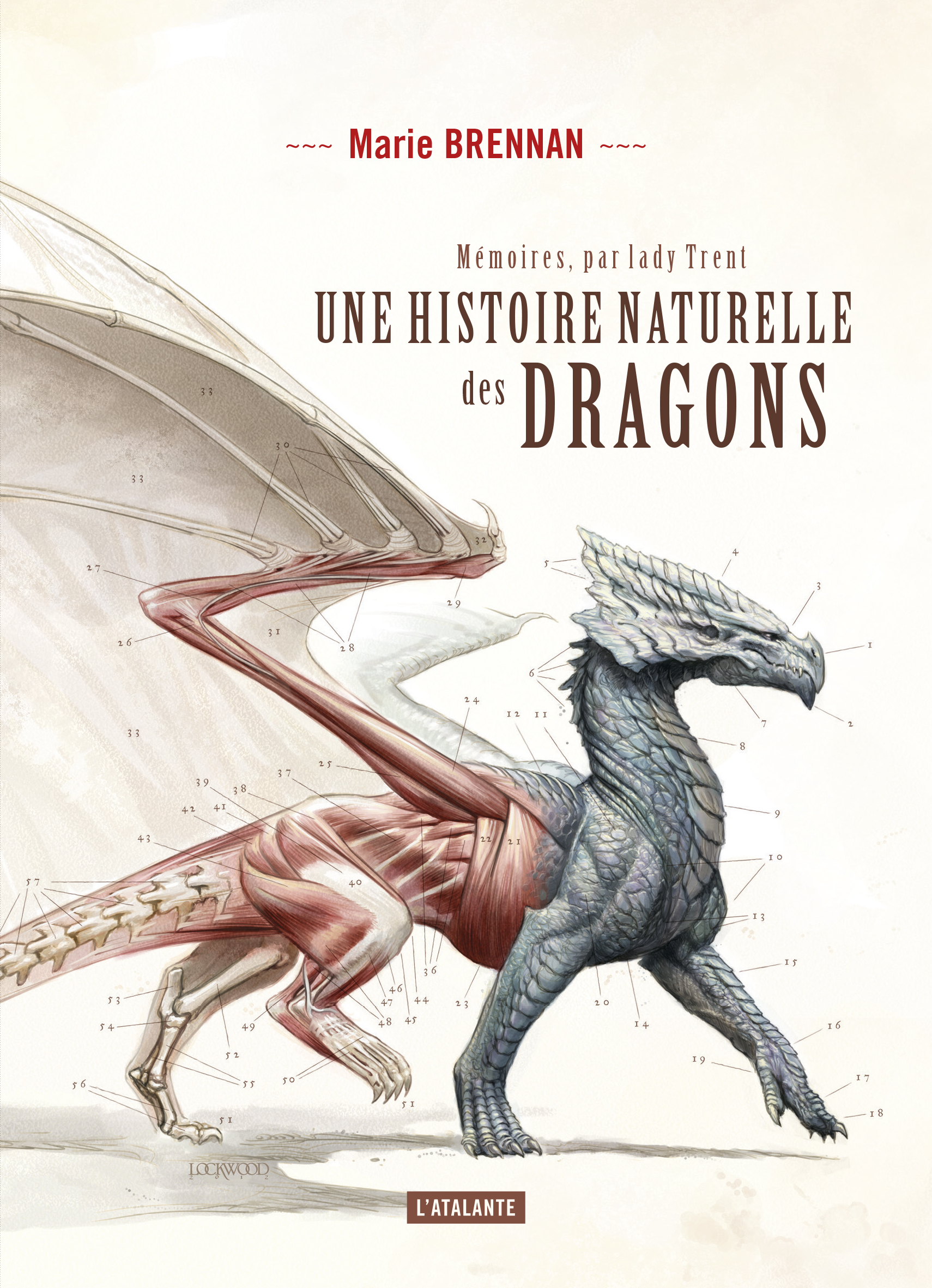 Lire la suite à propos de l’article Une histoire naturelle des dragons