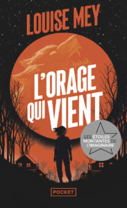 Lire la suite à propos de l’article L’orage qui vient