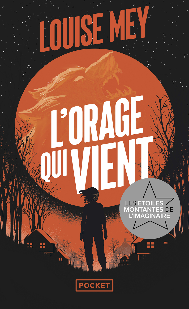 Lire la suite à propos de l’article L’orage qui vient