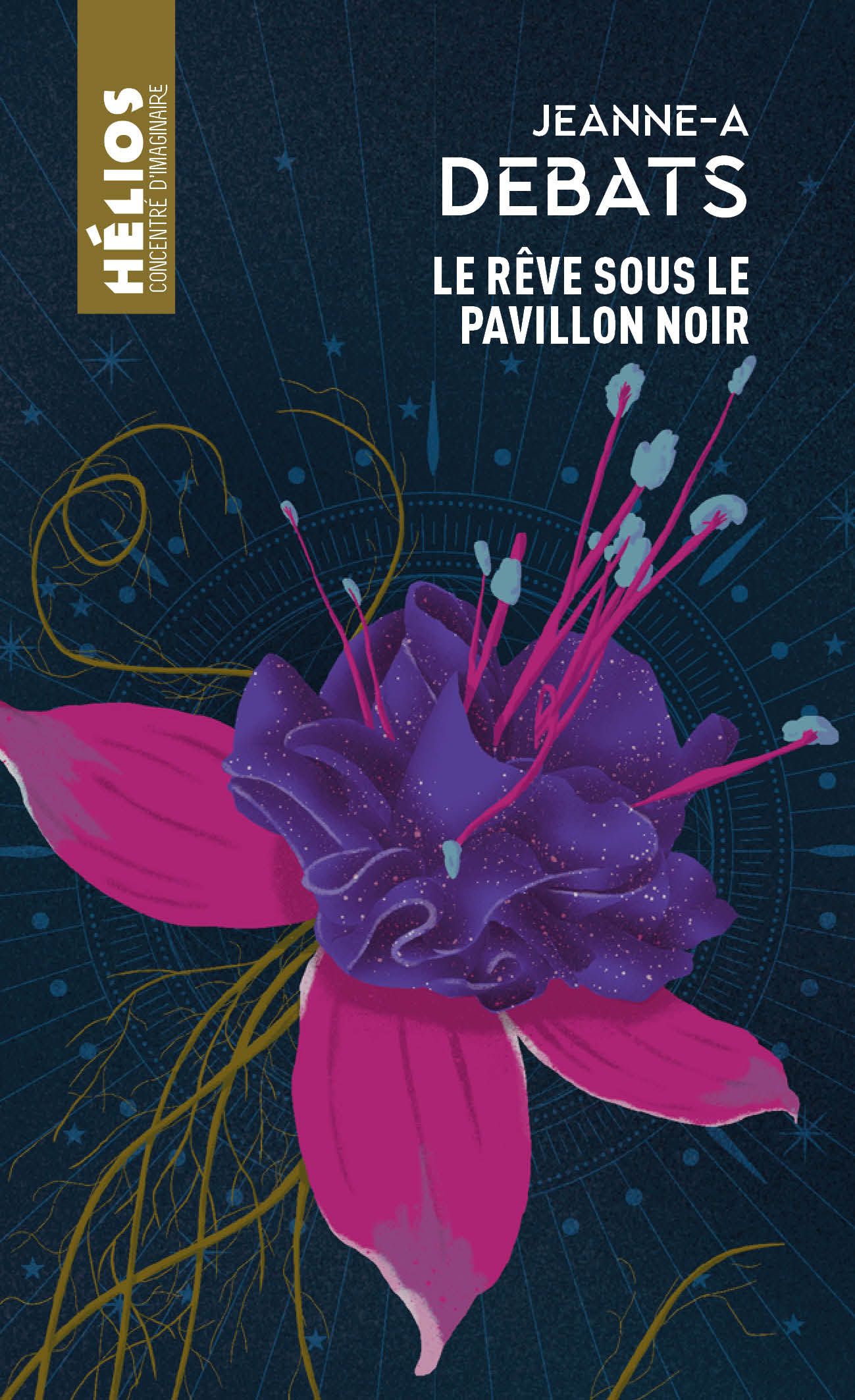 Lire la suite à propos de l’article Le rêve sous le pavillon noir