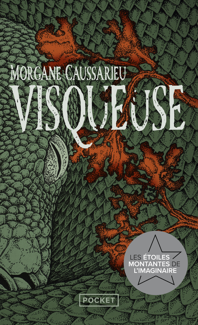 Lire la suite à propos de l’article Visqueuse